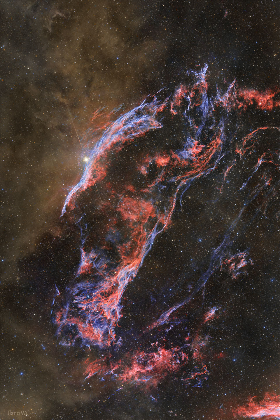 Brown glowing dust appears to the left of the blue and
red filamentary gas that composes the western edge of the
Veil Nebula, a supernova remnant.
Please see the explanation for more detailed
information.