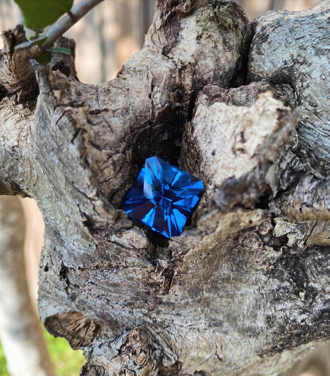 square blue gemstone sitting in the nook of a tree