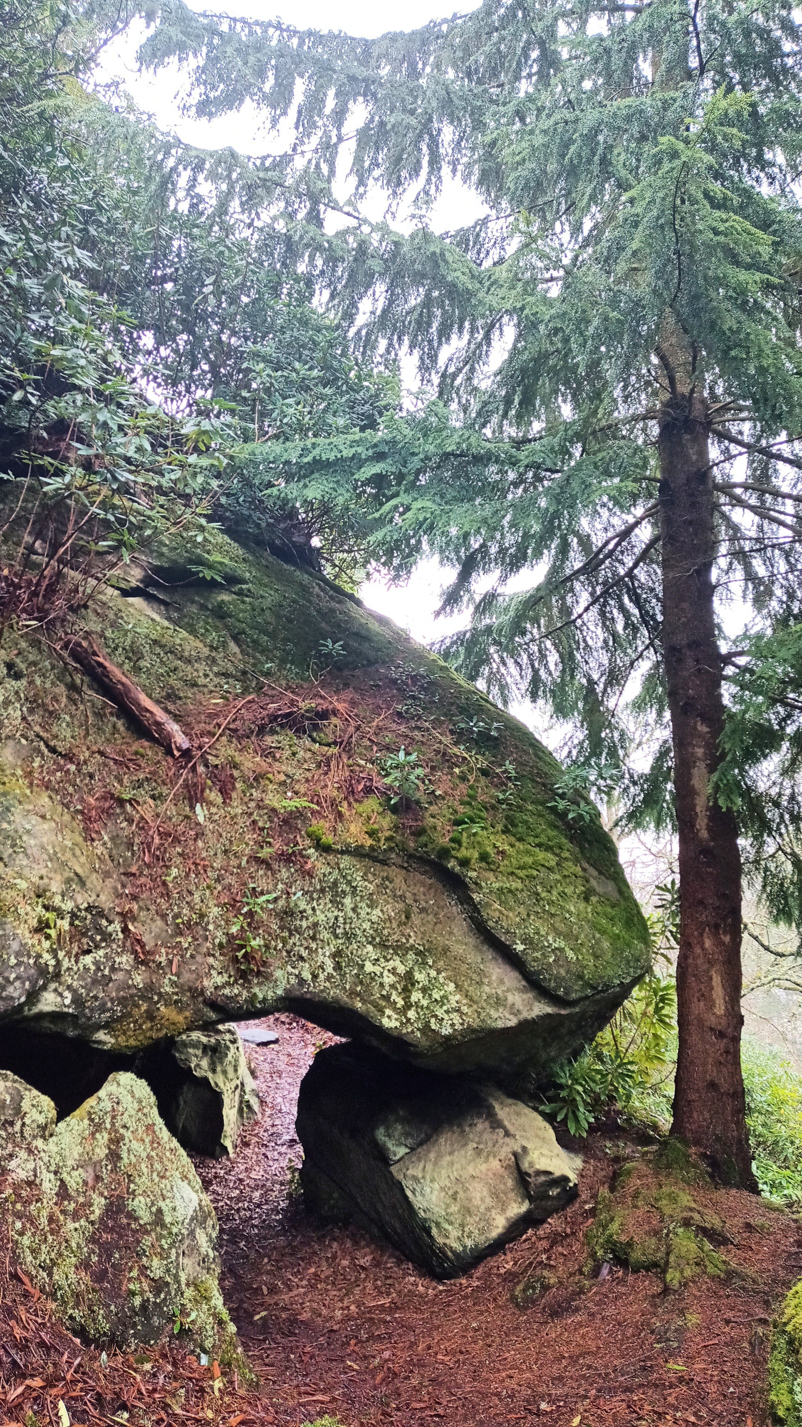 Natural looking stone archway over footpath