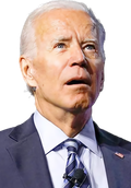 biden-horror