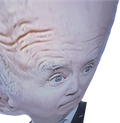 biden-megamind