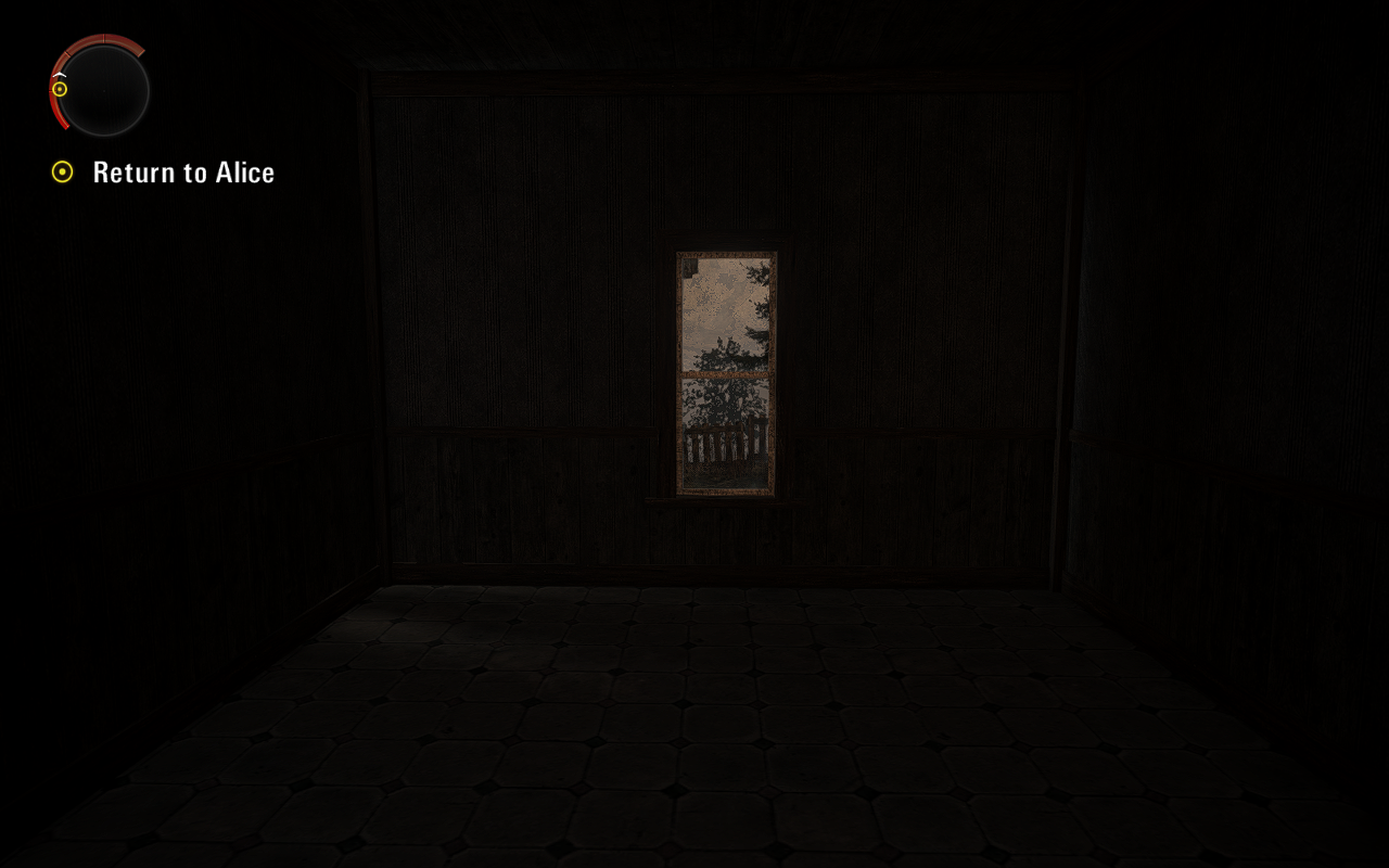 An entire unused room in Birdleg's cabin. I just thought it was interesting the window was see through on the inside when you can't even see it from the outside