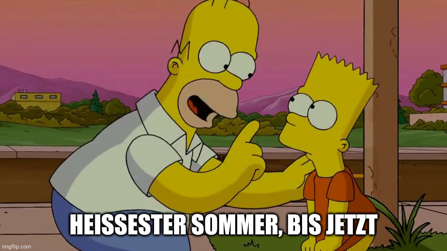 Homer Simpson tröstet Bart Meme: Heißester Sommer, bis jetzt