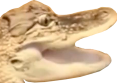 emoji croc-pog croc-pog