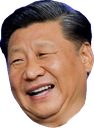 xi